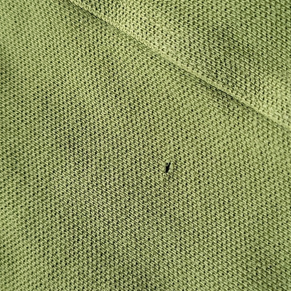 Express Classic Fit Small Lion Polo - Picture 7 of 7